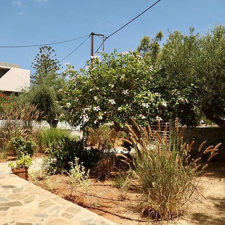 Cretanvibes Apartments Hersonissos  Esterno foto