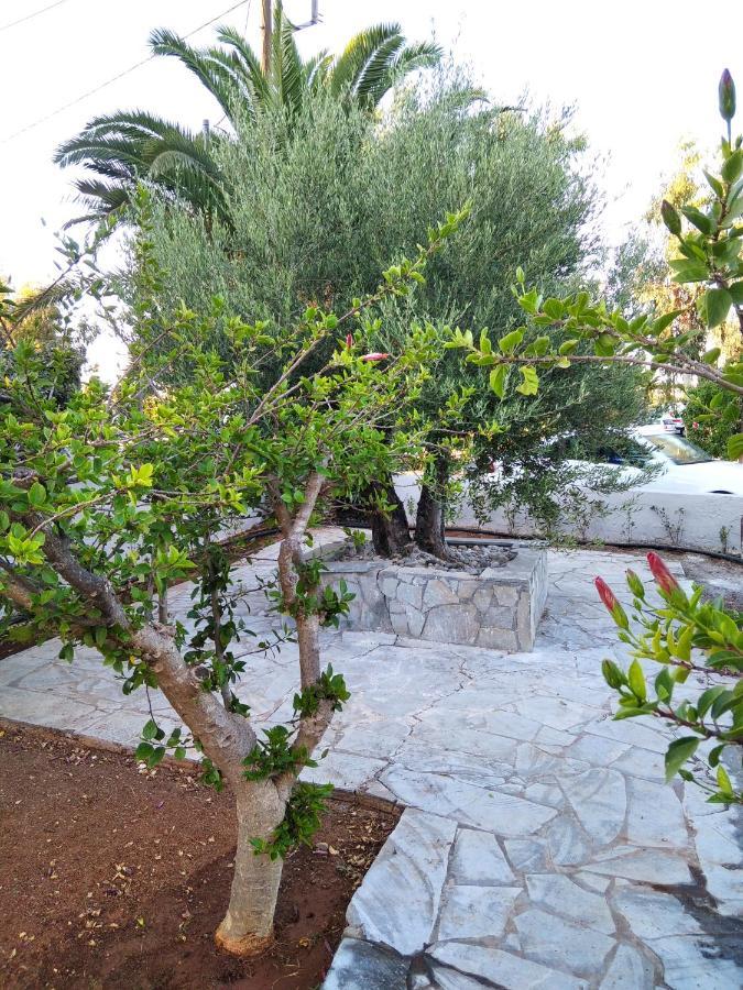 Cretanvibes Apartments Hersonissos  Esterno foto