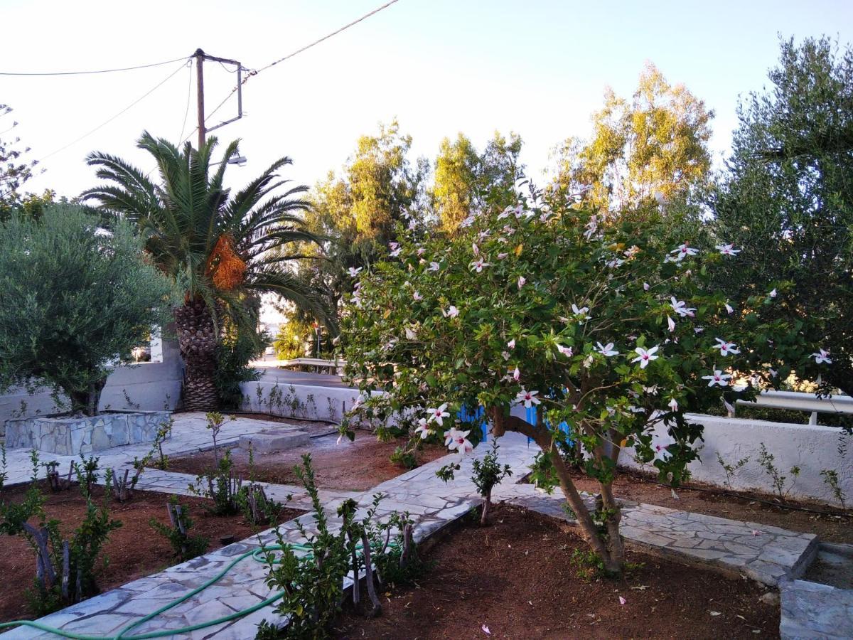 Cretanvibes Apartments Hersonissos  Esterno foto