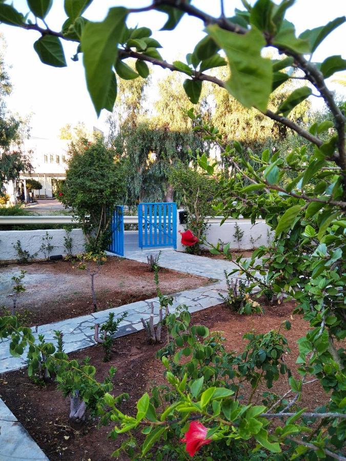Cretanvibes Apartments Hersonissos  Esterno foto