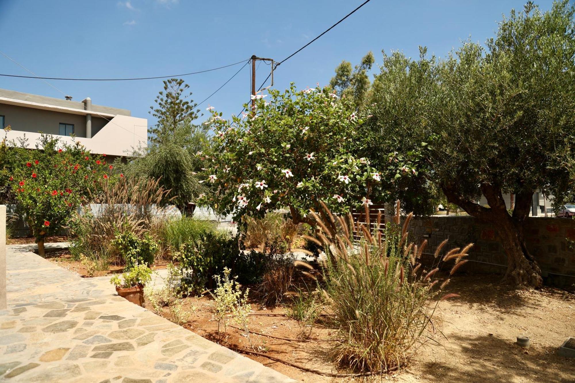 Cretanvibes Apartments Hersonissos  Esterno foto